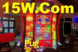 Pugbet App Interface