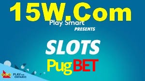 Daily Bonuses Pugbet