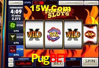 Pugbet Rio de Janeiro - Licenses