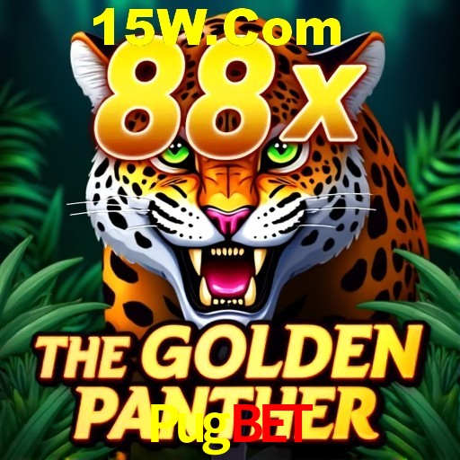Pugbet Rio de Janeiro - Bonus Terms